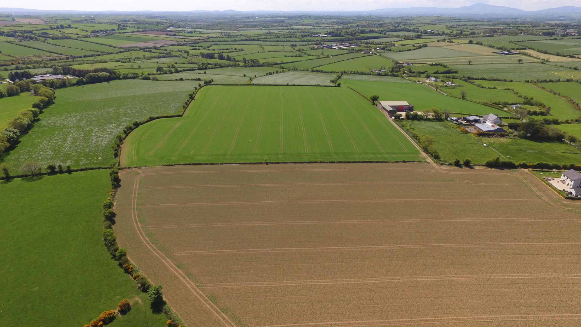 County Wexford