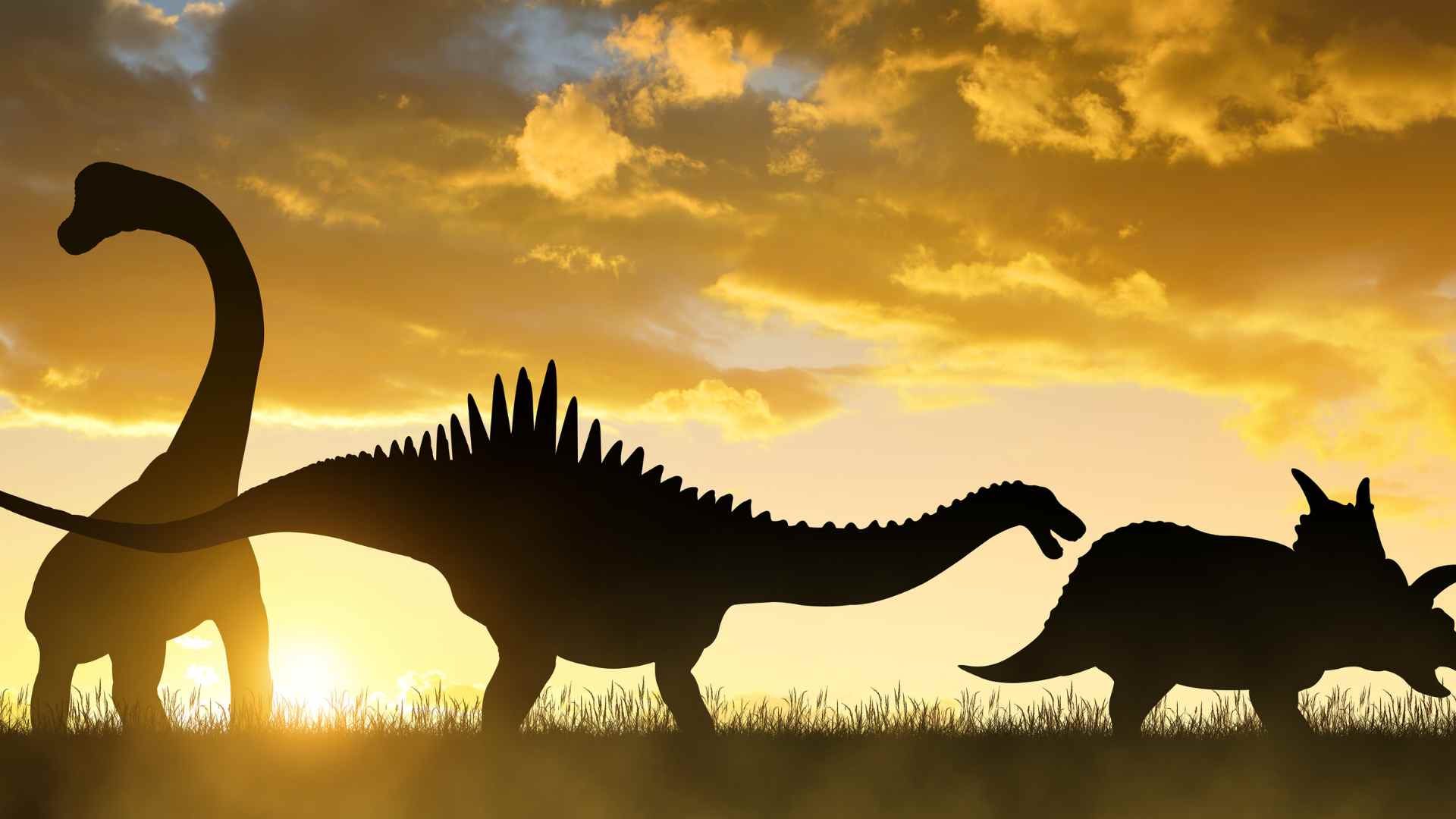 Dinosaurs