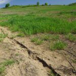 Dry field
