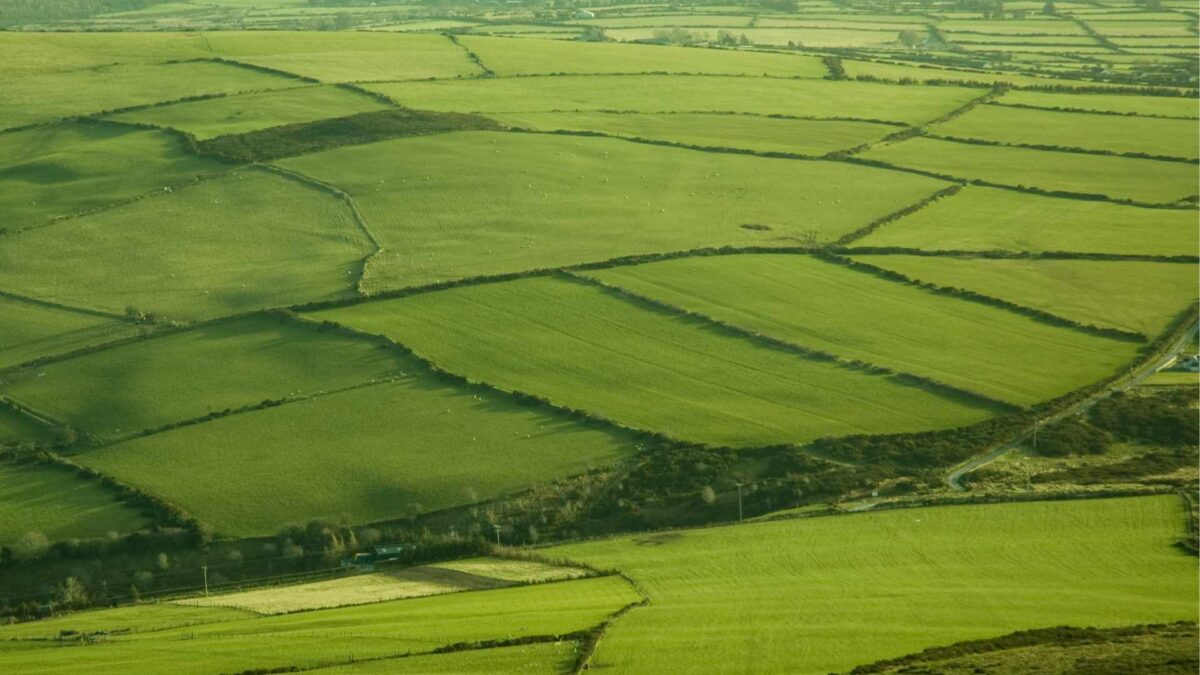 Farm-Ireland-1-1200x675 Dry fields and warm soils put pressure on grass growth