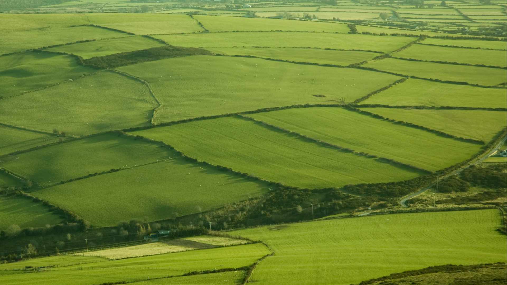 Farm Ireland