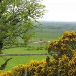 Farm Ireland
