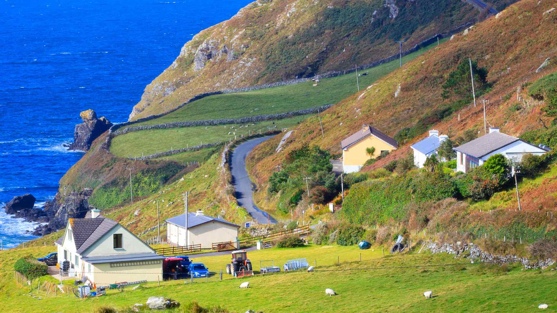 Farm Ireland