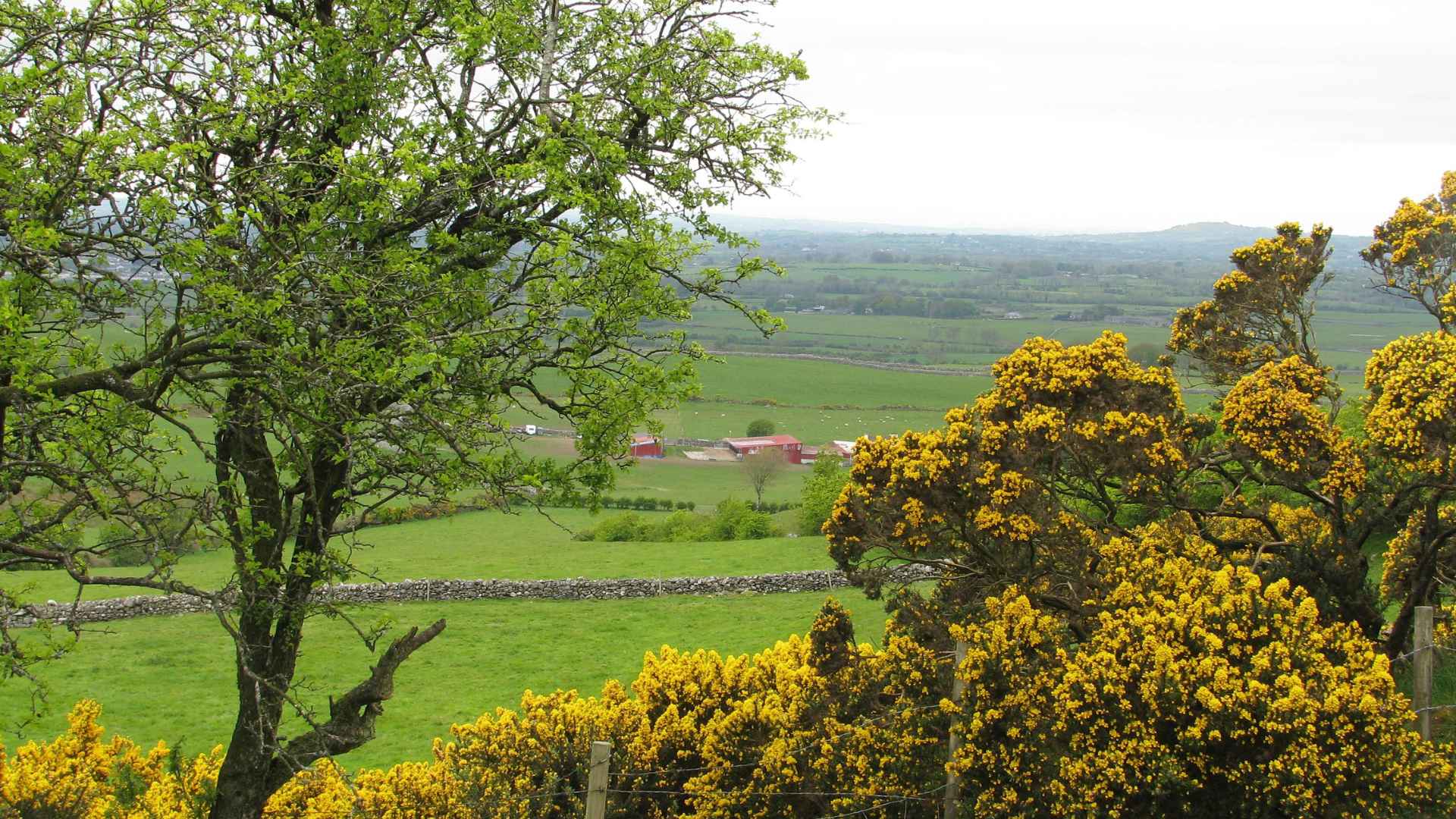 Farm Ireland