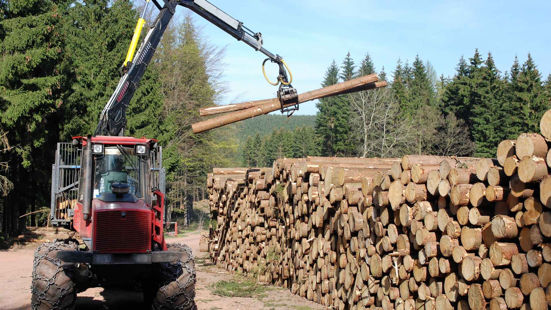 Forestry harvest