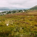 Fort William