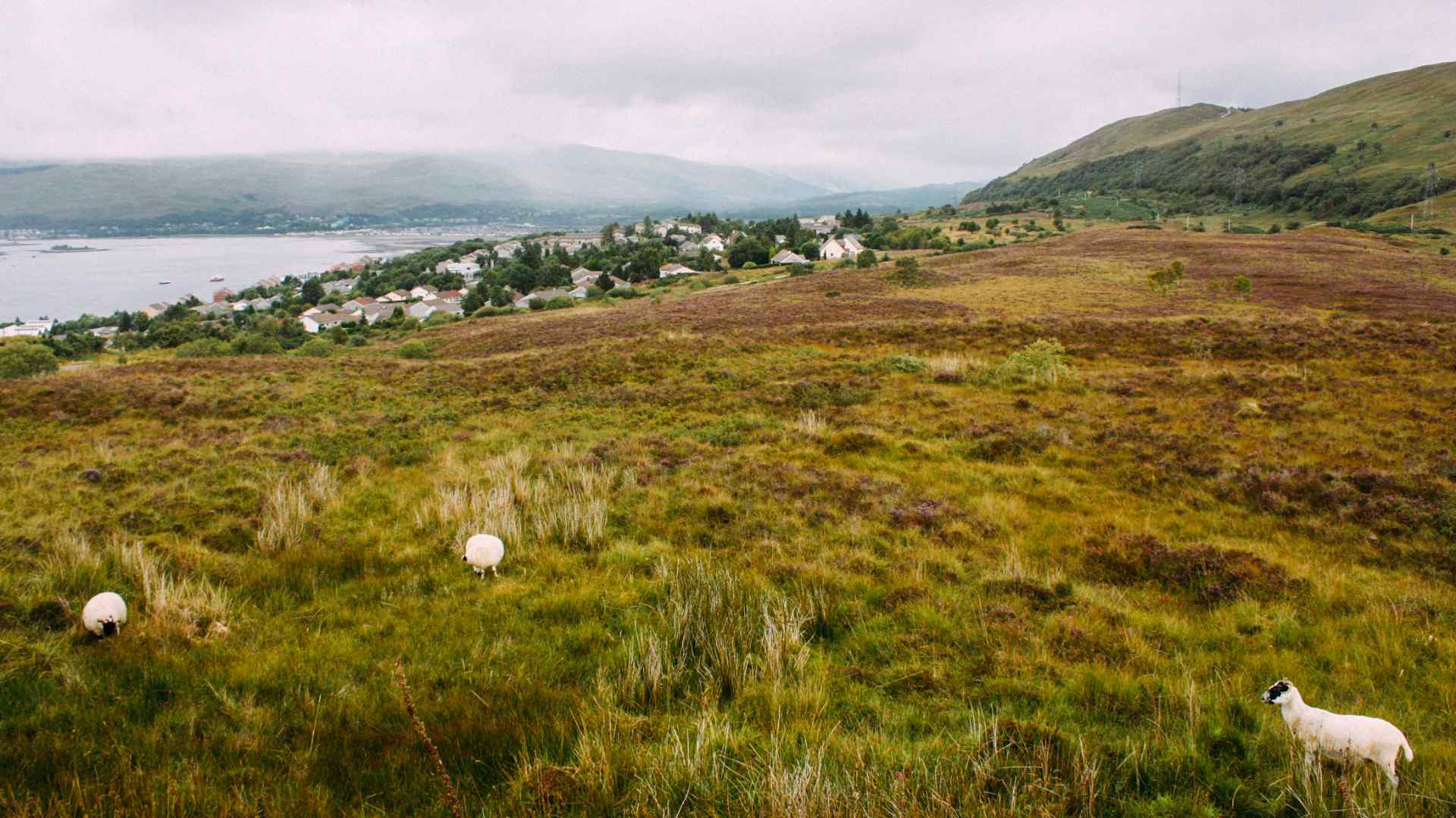 Fort William