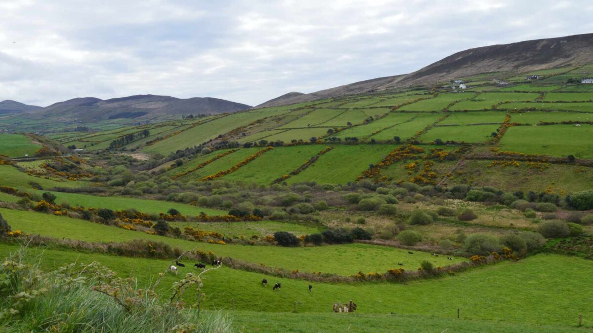 Grassland2-1200x675 Grassland Awards to Recognise Sustainable Farming