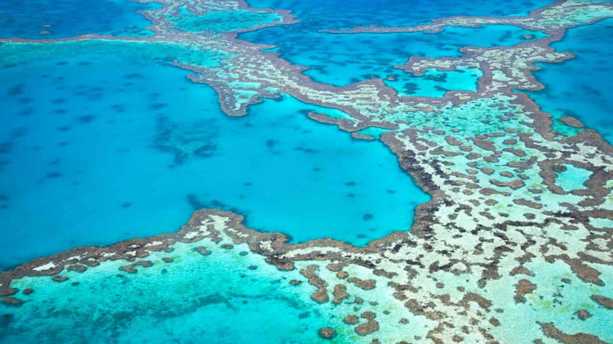 Great-Barrier-Reef-1200x675 Great Barrier Reef records worst coral loss in decades