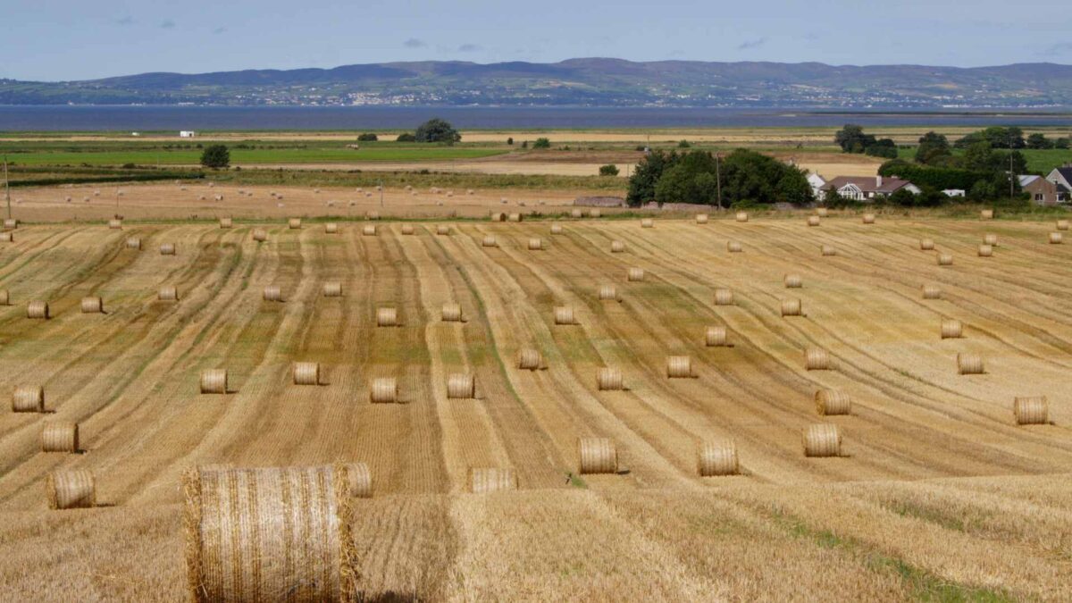 Harvest-time-1200x675 Grass Growth to Surge as Heat Holds