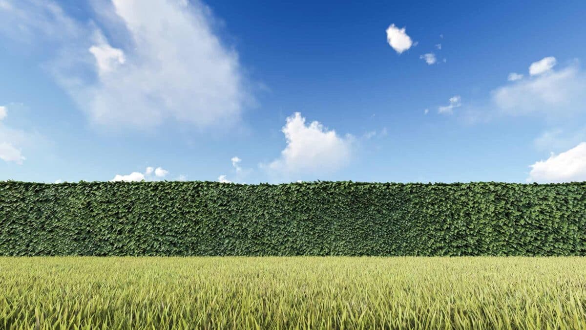 Hedge-1200x675 National Hedgerow Week kicks off
