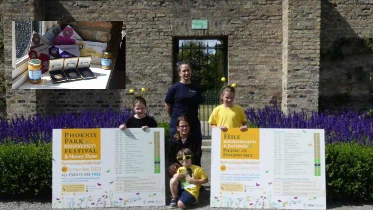 Honey-festival-1200x675 Phoenix Park Buzzes with Biodiversity Festival