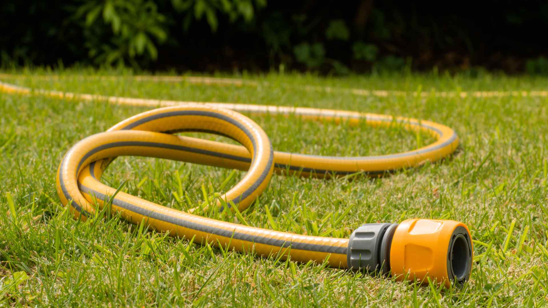 Hosepipe