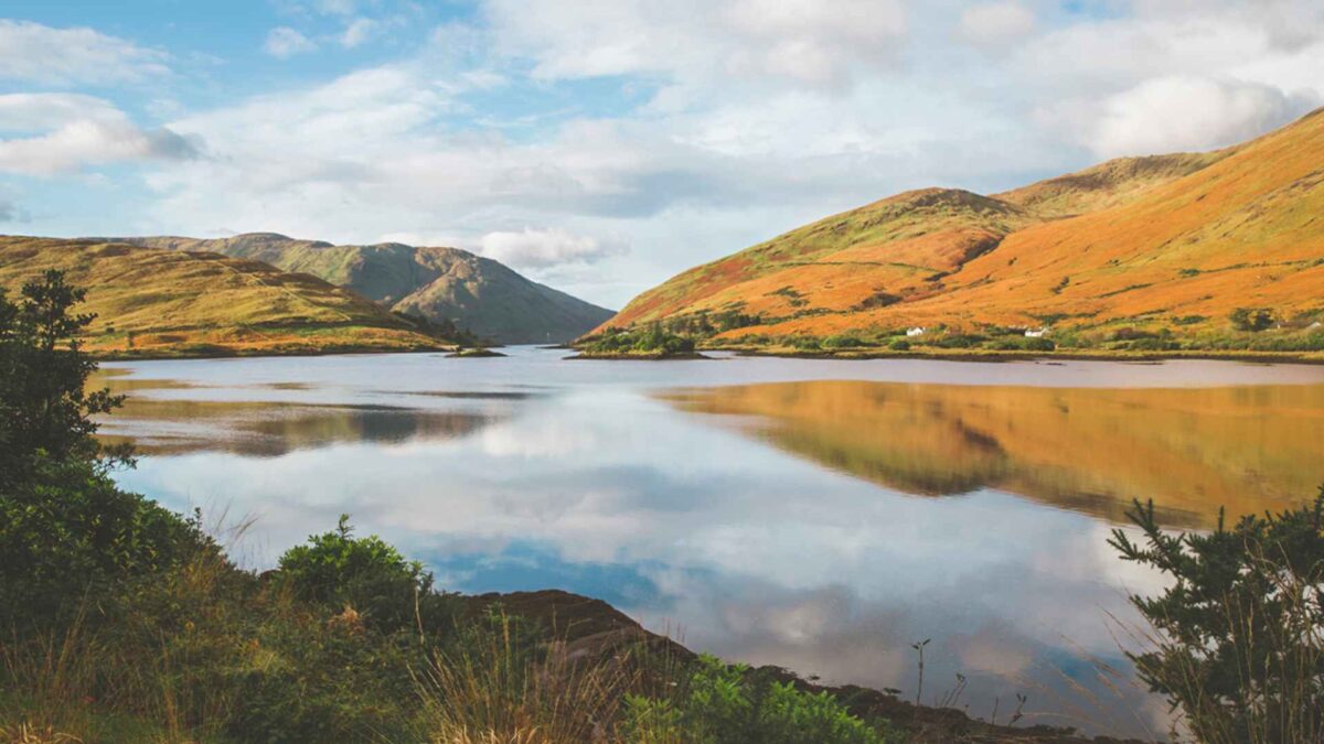 Irish-lake-1200x675 Shoreline Plants Boost Carbon Storage in Ireland’s Lakes