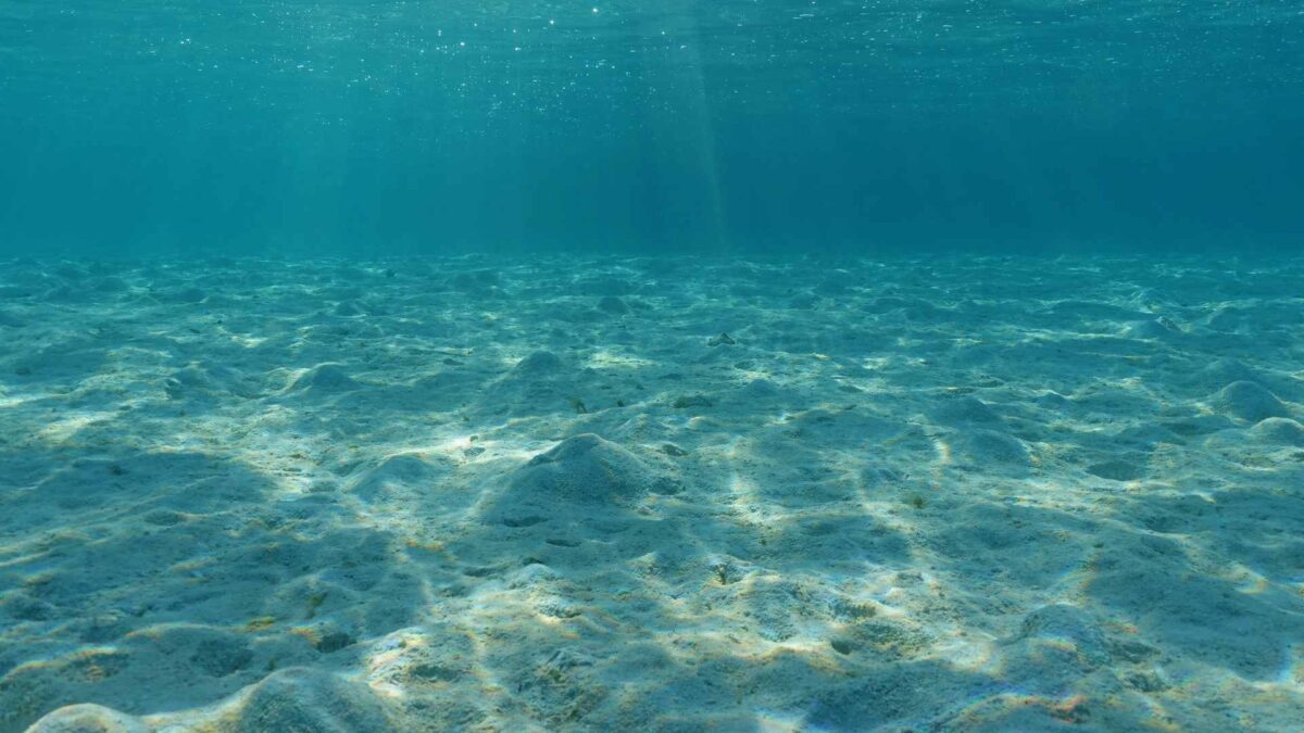 Pacific-1200x675 Pacific depths becoming more acidic