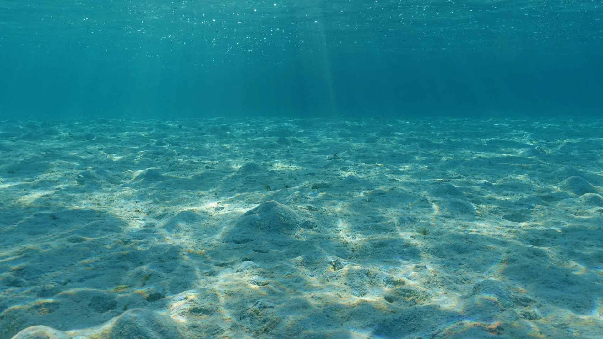 Pacific