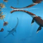 Plesionectes longicollum life reconstruction by Peter Nickolaus