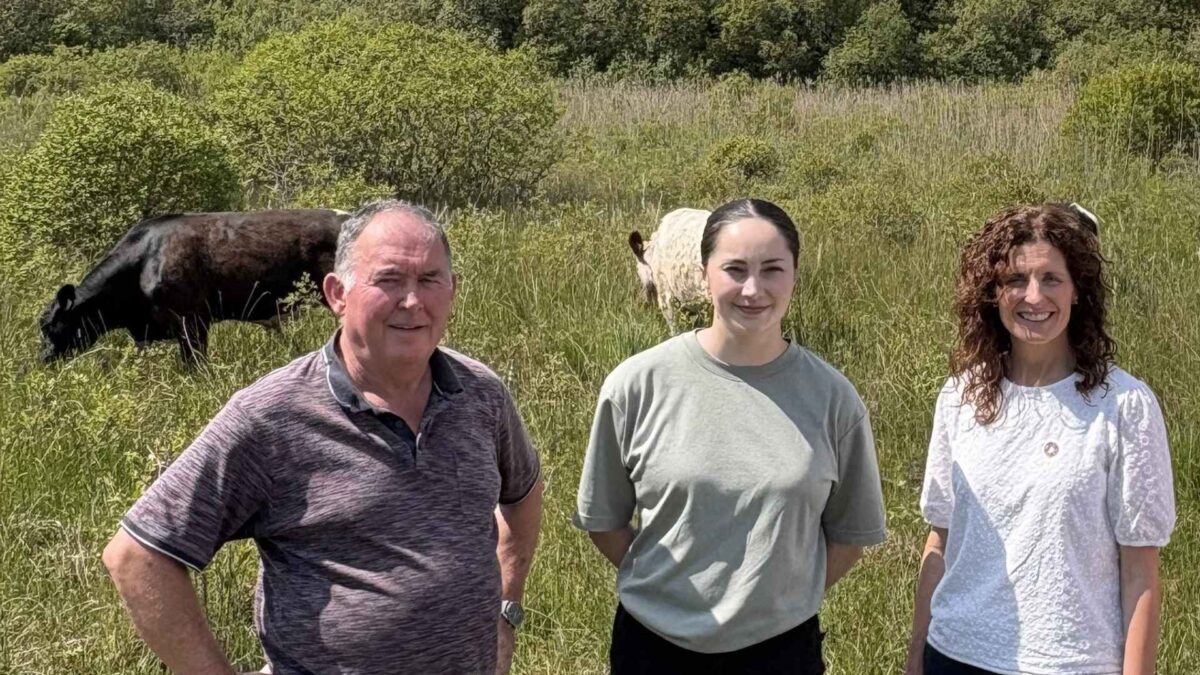 Shannon-Airport-biodiversity-1200x675 Ireland’s First Airport Conservation Grazing Project Gets Award Nod