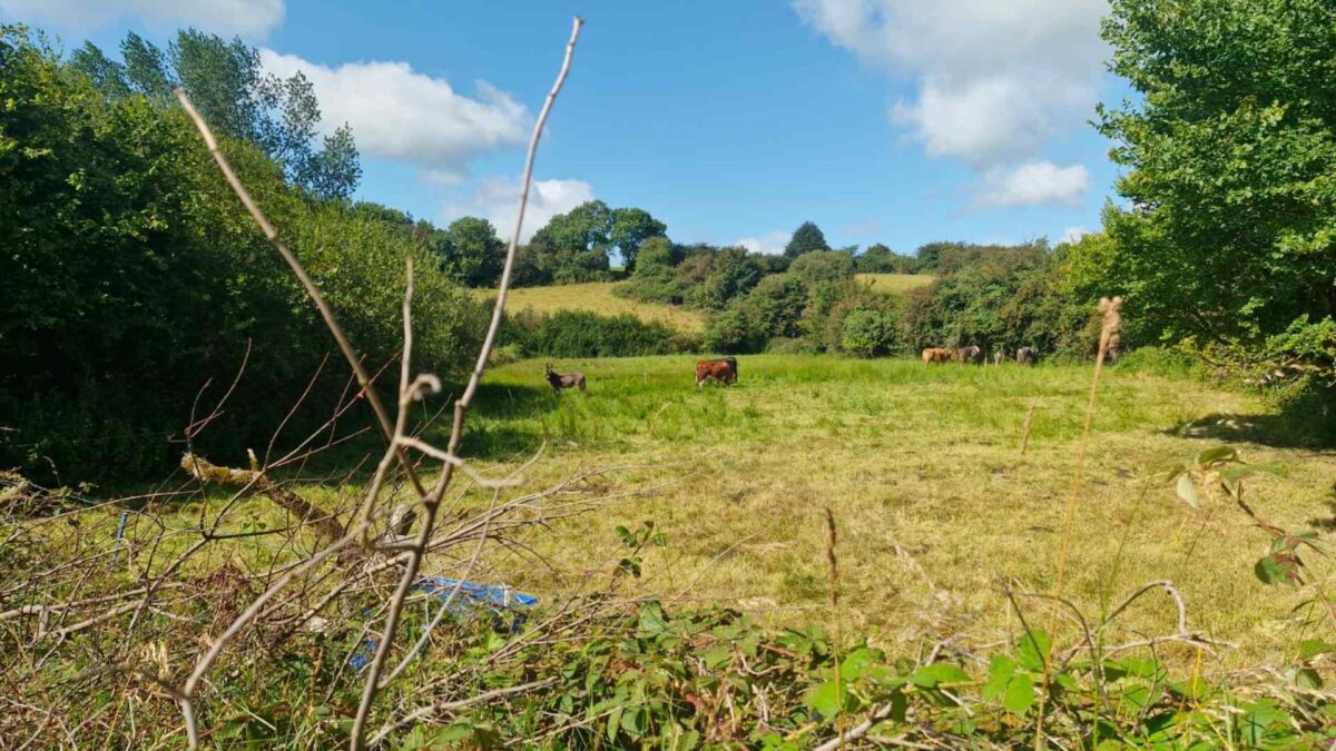 South-Armagh-1200x675 GALLERY Dry Spell Lets Irish Farmers Get Back to Work