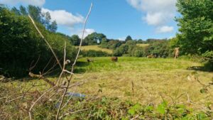 South Armagh