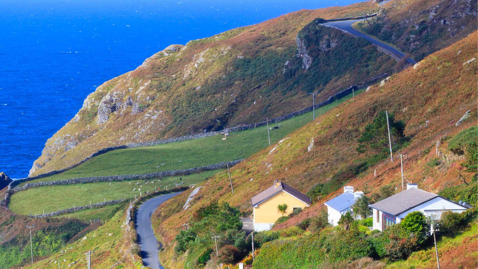 Sunny Ireland
