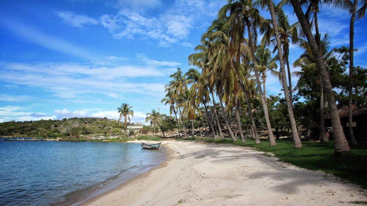 Takawiri-Island-Lake-Victoria-Kenya-1200x675 Hominins carried rocks for tools 2.6m years ago