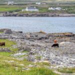 The Aran Islands