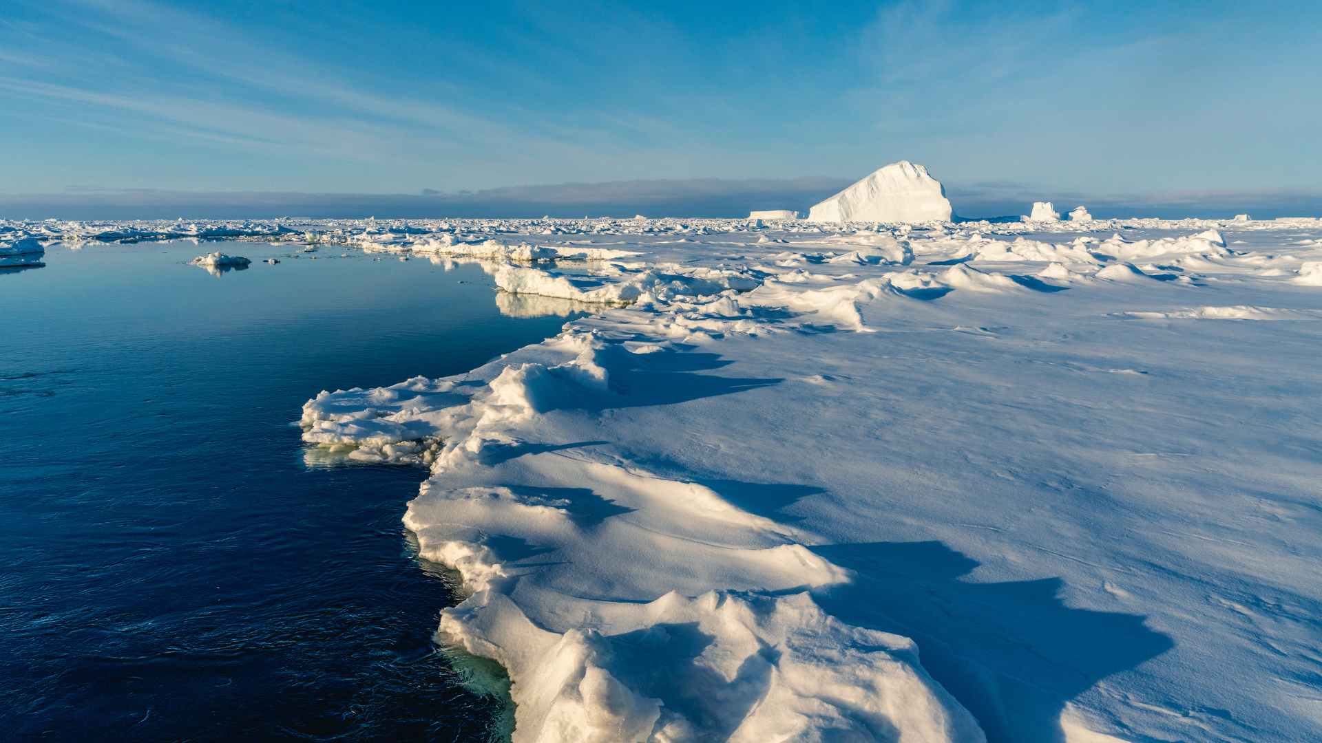 The Arctic