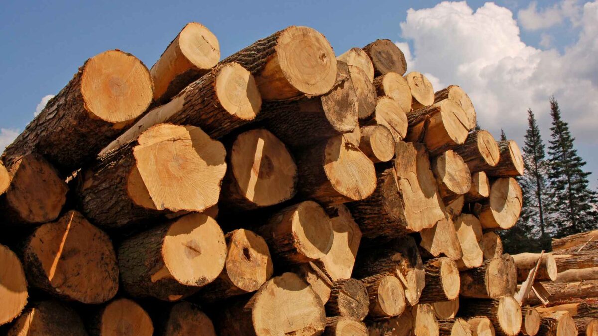 Timber-1200x675 €8 Million Invested in Timber Construction Research