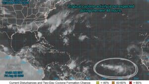 Tropical Wave