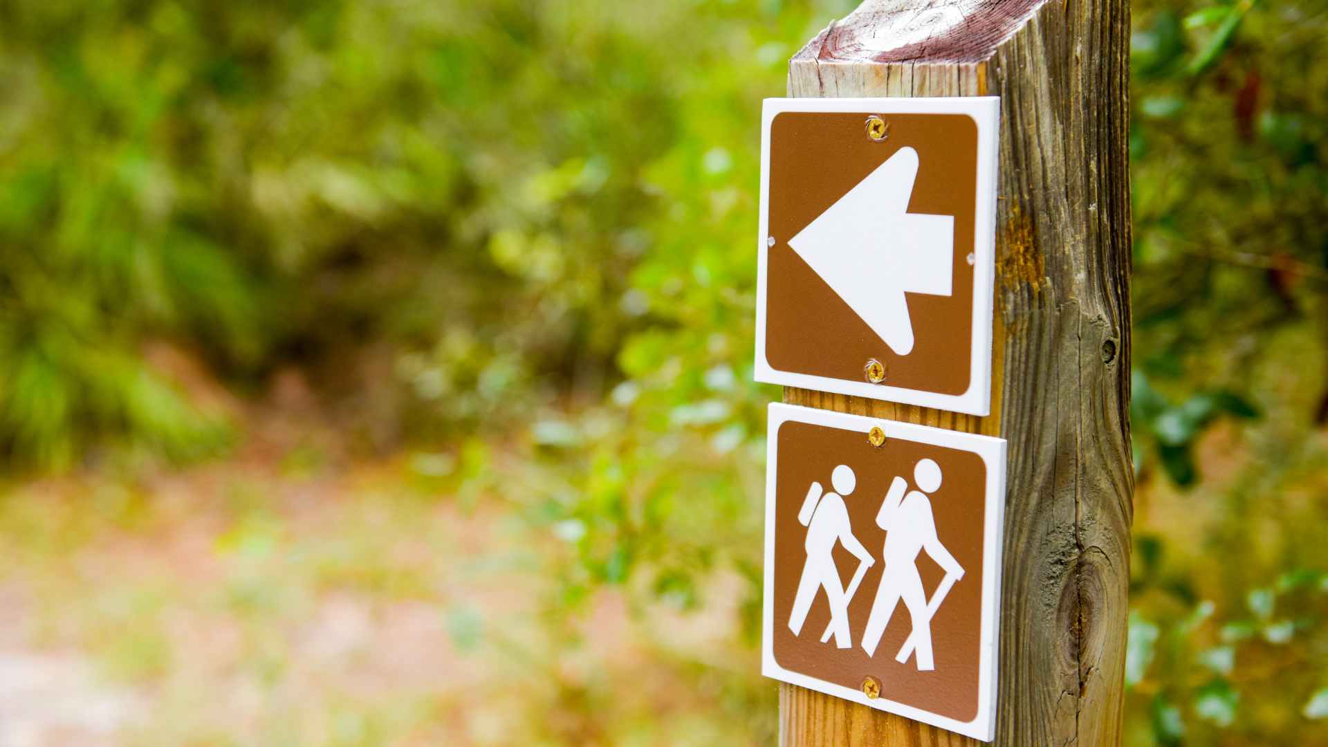 Walking trail