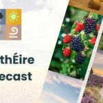 Long Range Weather Forecast for Ireland 11 WeathÉire_Forecast