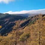 A scene from the Wicklow Mountains this week.