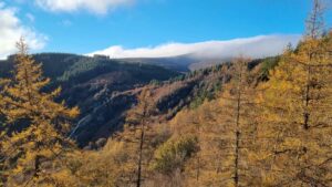 A scene from the Wicklow Mountains this week.