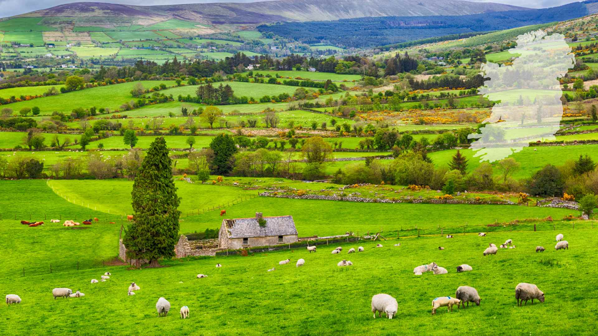 farm forecast