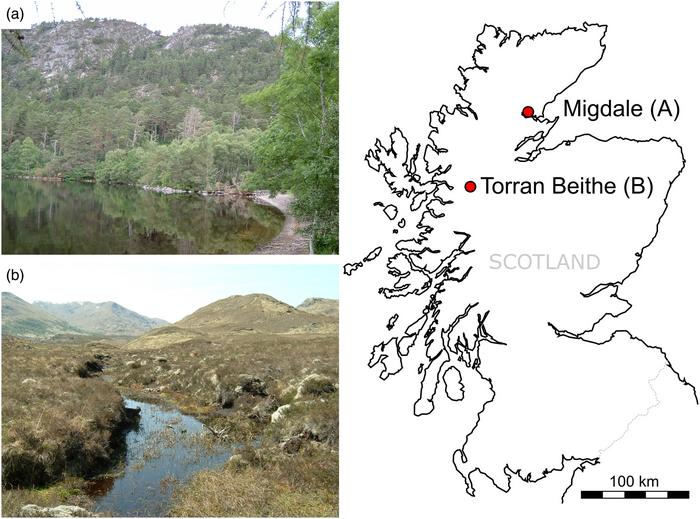 scottish-terrain Ancient Pollen Shows How Biodiversity Shaped Scotland