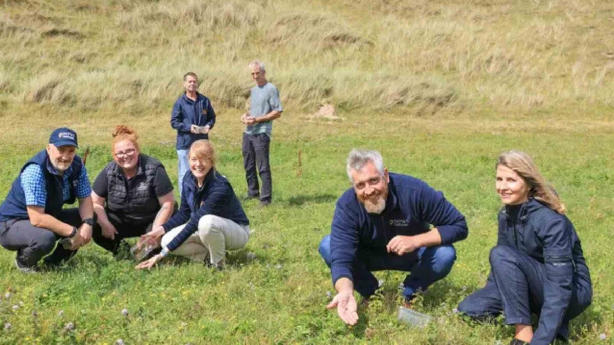 toads-1200x675 2,000 Endangered Natterjack Toadlets Released in Kerry