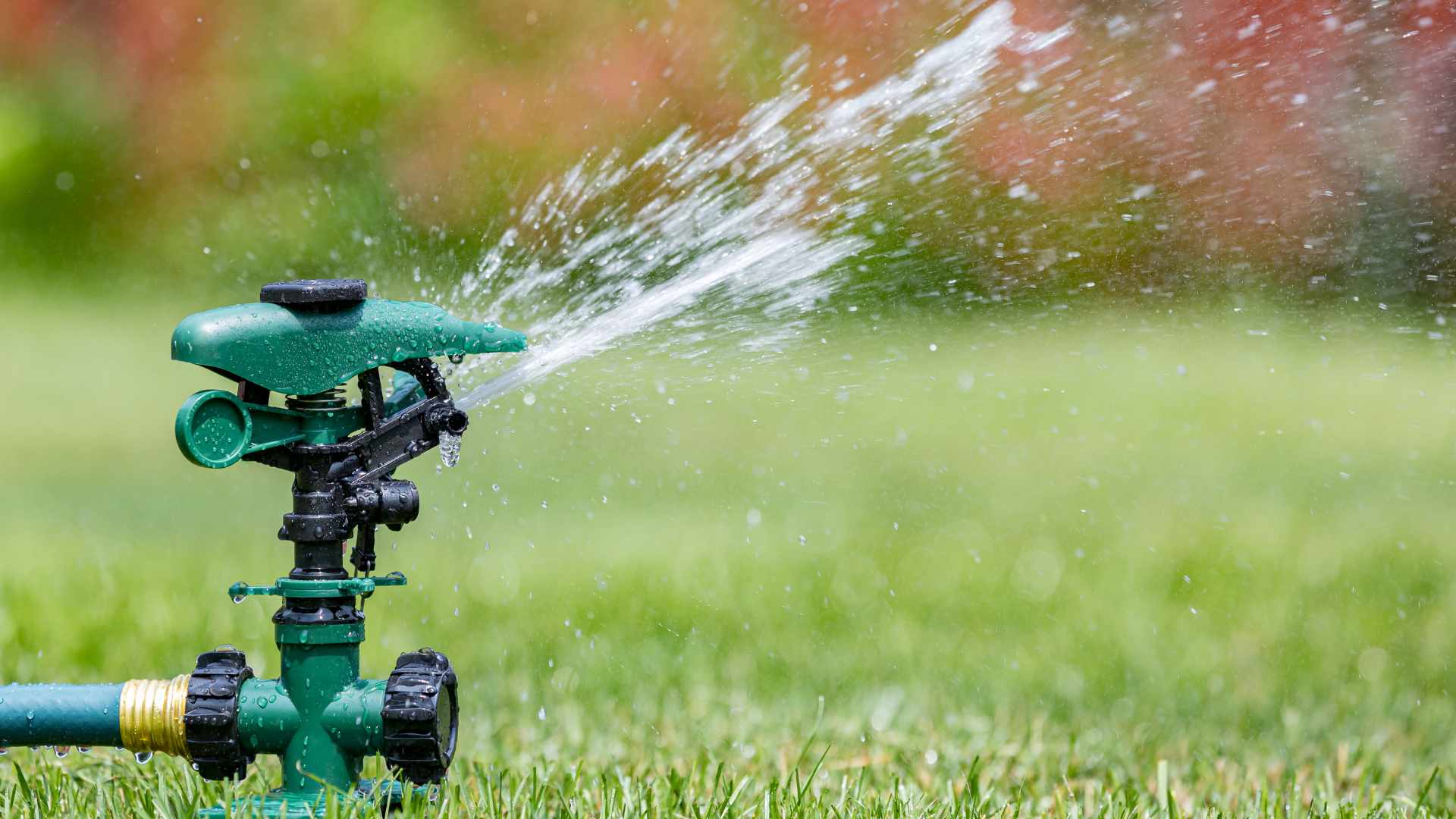 water sprinkler