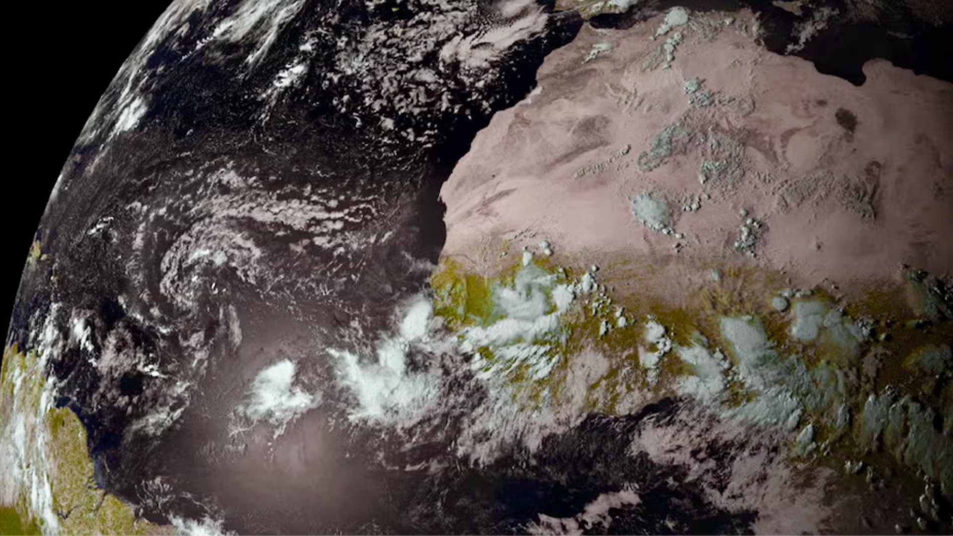 African easterly wave convection