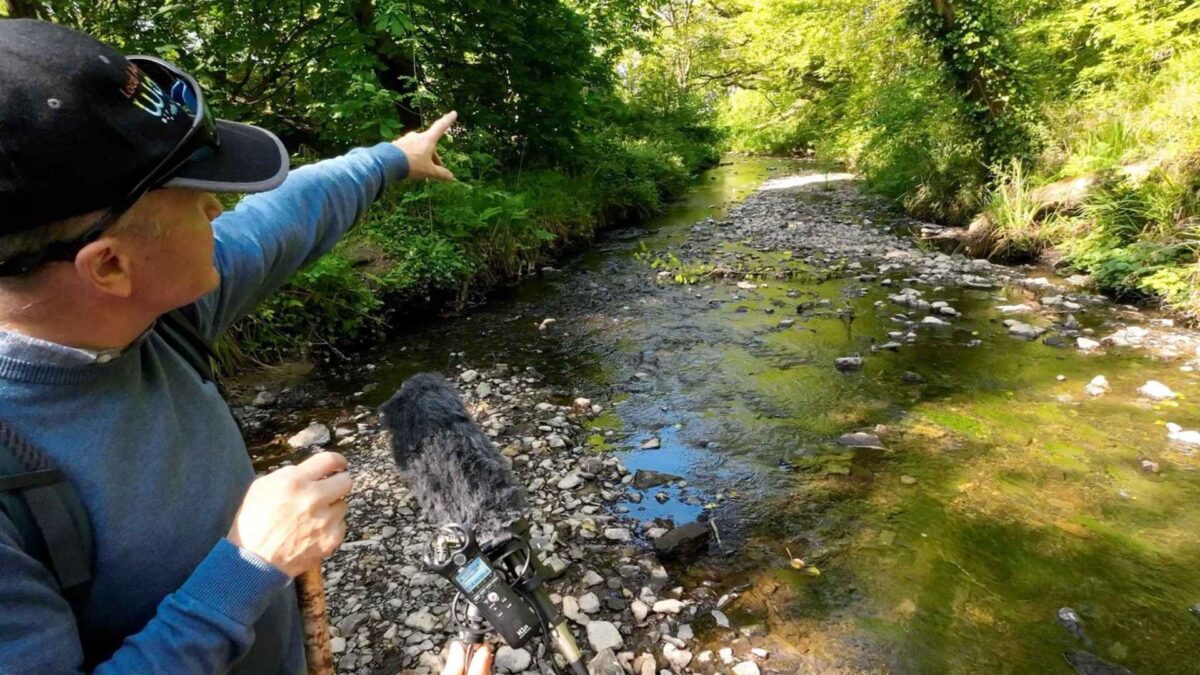 Ballymacraven-River-in-Ennistymon-Co-Clare-1200x675 Clare River Revives After 2023 Fish Kill