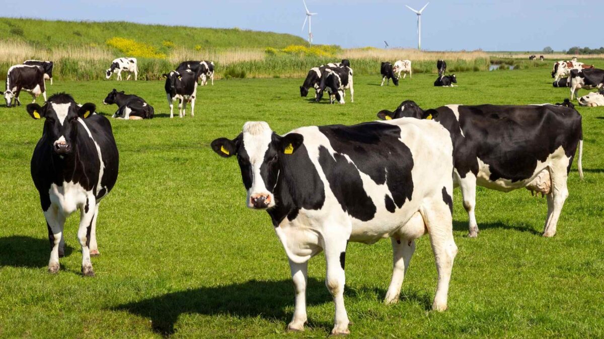 Farmers Urged to Brace for Poor Drying and Spraying Conditions