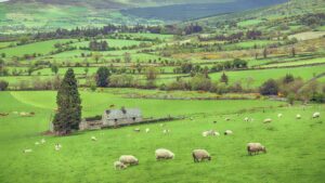 Farmer land