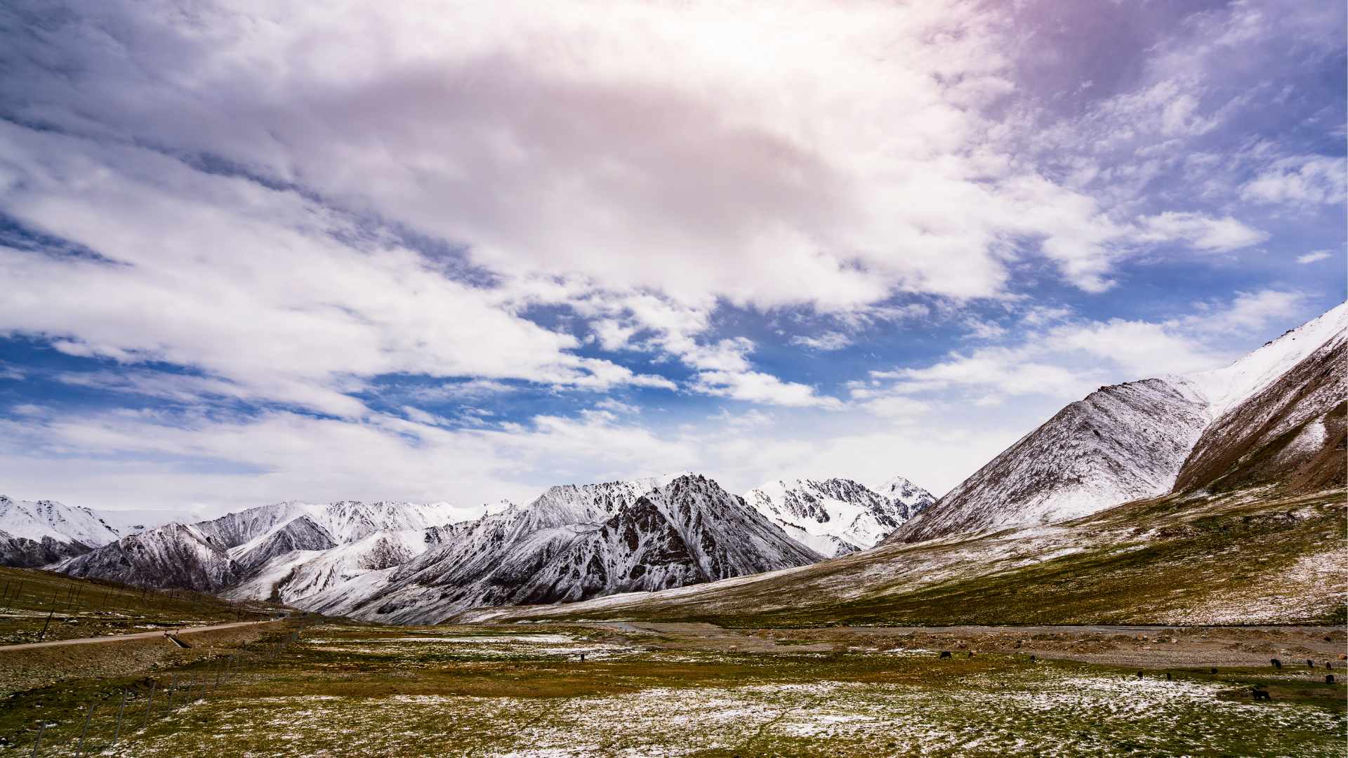Grassland in the Kunlun Mountains