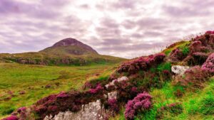 Ireland