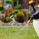 Pesticide