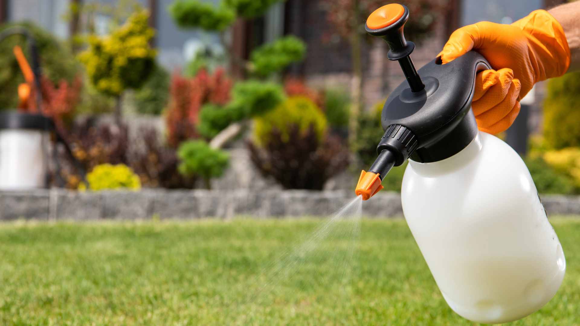 Pesticide