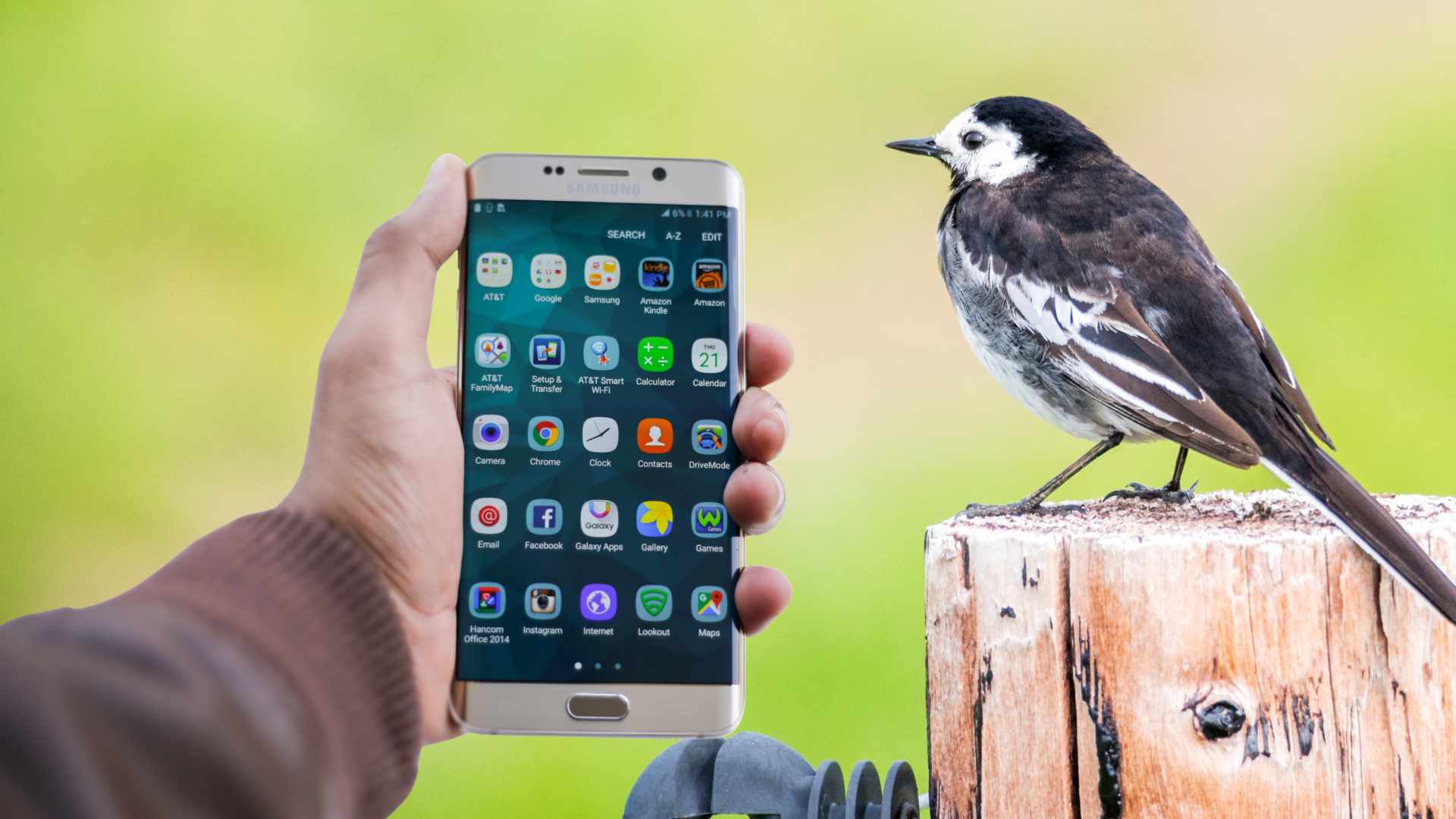 Phone apps for birdwatching