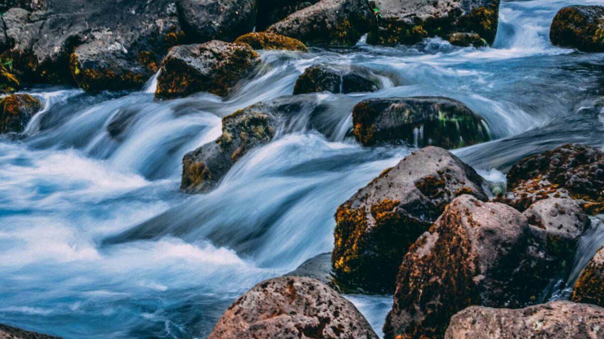 River-1200x675 River Nitrogen Levels Rise in Early 2025, EPA Reports