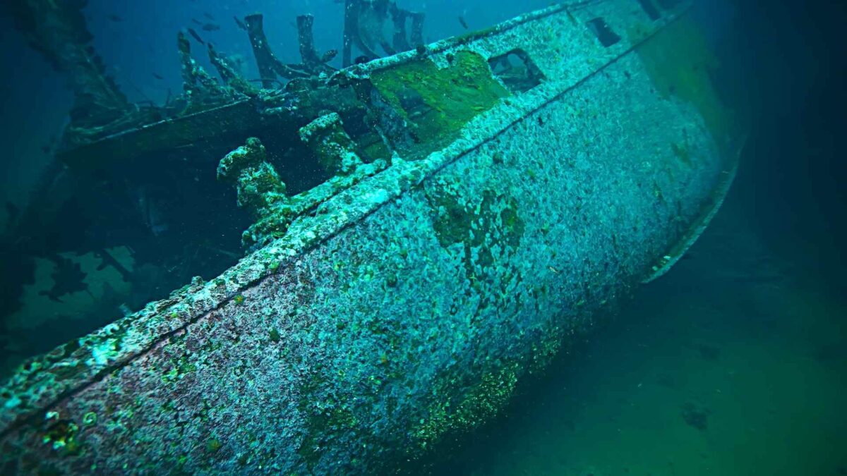 Sunken-ship-munitions-1200x675 Marine life thriving on WW2 munitions