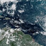 Tropical Wave